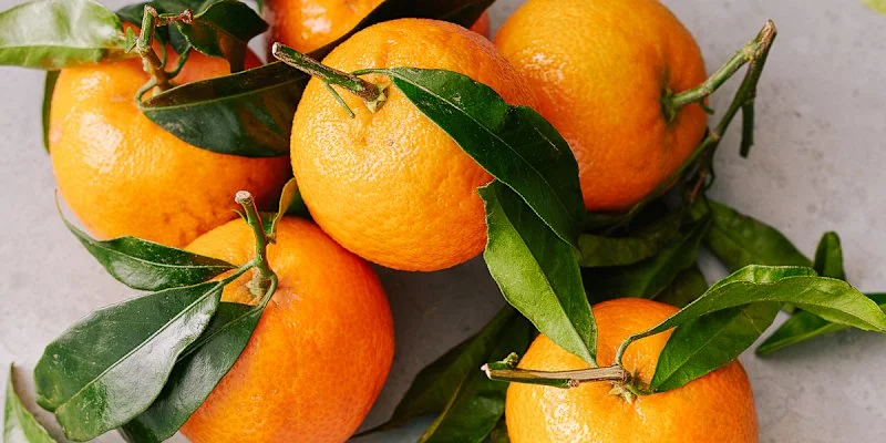 Продукти, що знижують ризик діабету: нові дослідження про поліфеноли